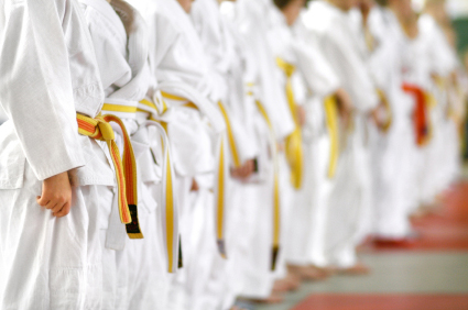 Martial Art Studio Insurance in Lawrenceville, GA by Lawrenceville, GA, Business Insurance